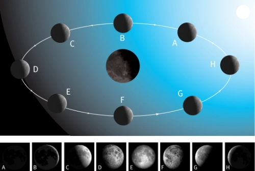 Vị trí của Mặt Trăng và các pha của nó